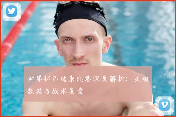 世界杯已结束比赛深度解析:关键数据与战术复盘