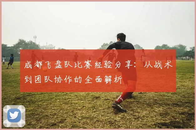 成都飞盘队比赛经验分享:从战术到团队协作的全面解析