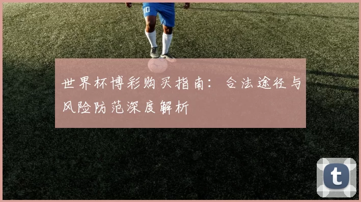 世界杯博彩购买指南:合法途径与风险防范深度解析