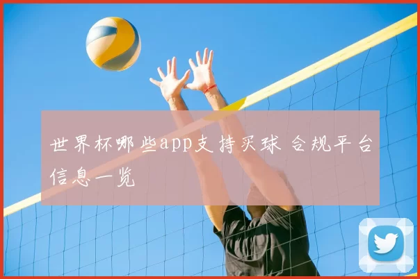 世界杯哪些app支持买球 合规平台信息一览