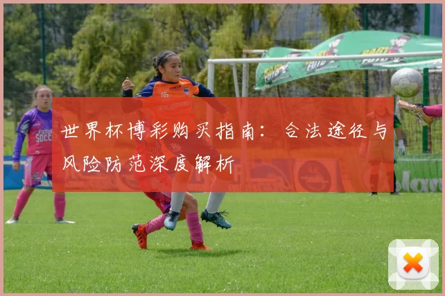 世界杯博彩购买指南：合法途径与风险防范深度解析
