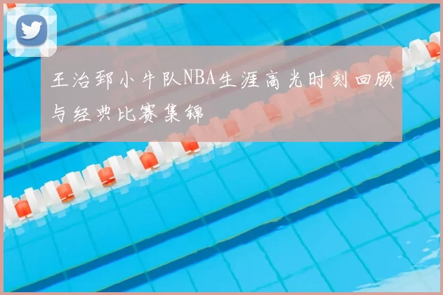王治郅小牛队NBA生涯高光时刻回顾与经典比赛集锦