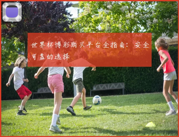 世界杯博彩购买平台全指南:安全可靠的选择