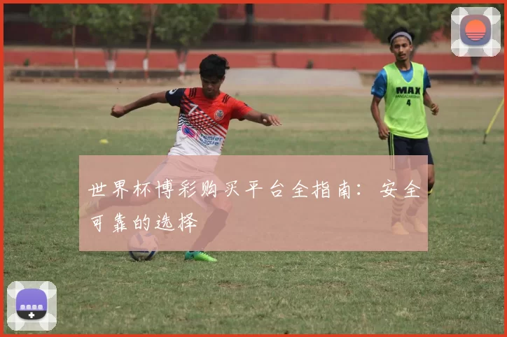 世界杯博彩购买平台全指南:安全可靠的选择