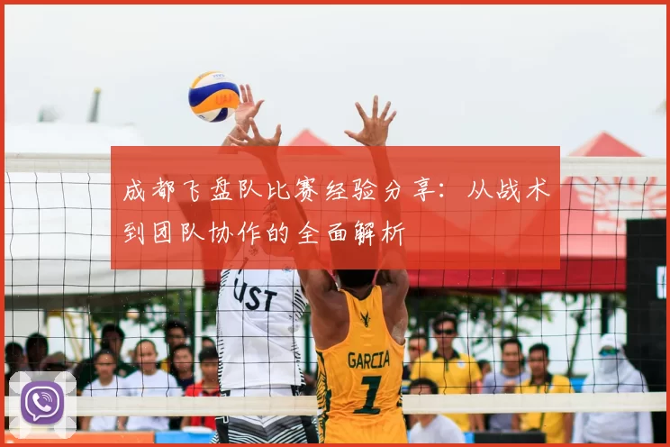 成都飞盘队比赛经验分享：从战术到团队协作的全面解析