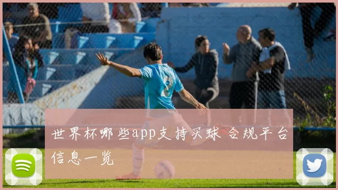世界杯哪些app支持买球 合规平台信息一览