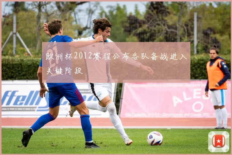 欧洲杯2012赛程公布各队备战进入关键阶段