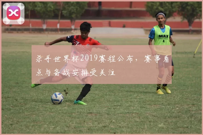 杀手世界杯2019赛程公布,赛事看点与备战安排受关注