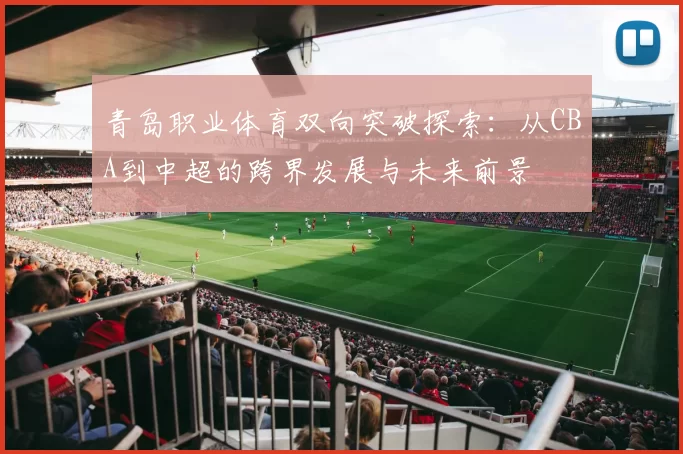 青岛职业体育双向突破探索：从CBA到中超的跨界发展与未来前景