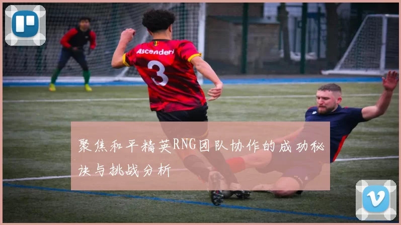 聚焦和平精英RNG团队协作的成功秘诀与挑战分析